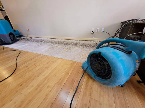 Professional Sewage Cleanup technician working in Fowler, CO